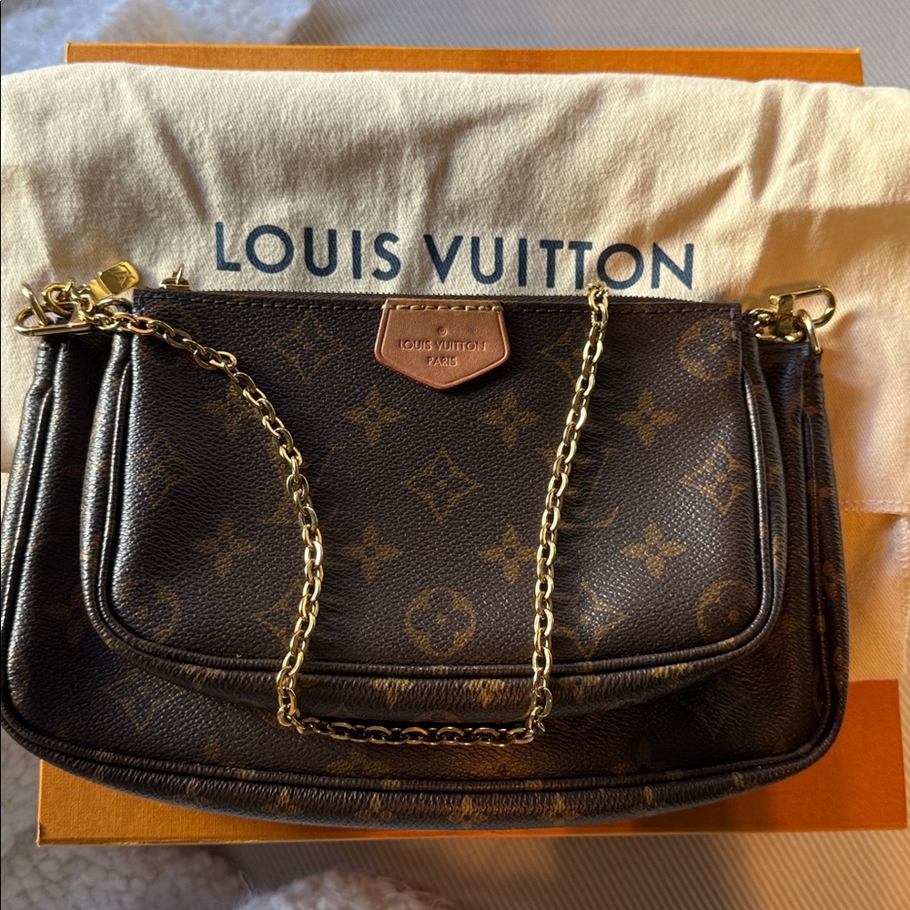 Louis Vuitton Multi Pochette Accessories Bag
